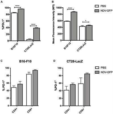 Recombinant Newcastle disease viruses expressing immunological checkpoint inhibitors induce a pro-inflammatory state and enhance tumor-specific immune responses in two murine models of cancer